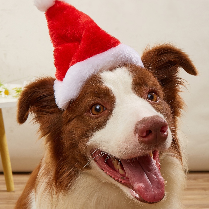 Santa Hat Plush - Chapeau de noël pour chien et