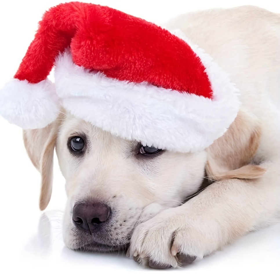 Santa Hat Plush - 1-10 pièces de chapeaux de Noël