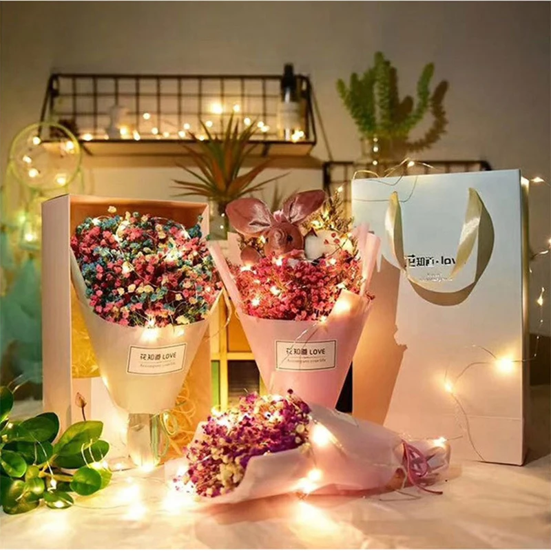 Guirlande lumineuse LED en fil - Led Fairy String Lights avis et prix