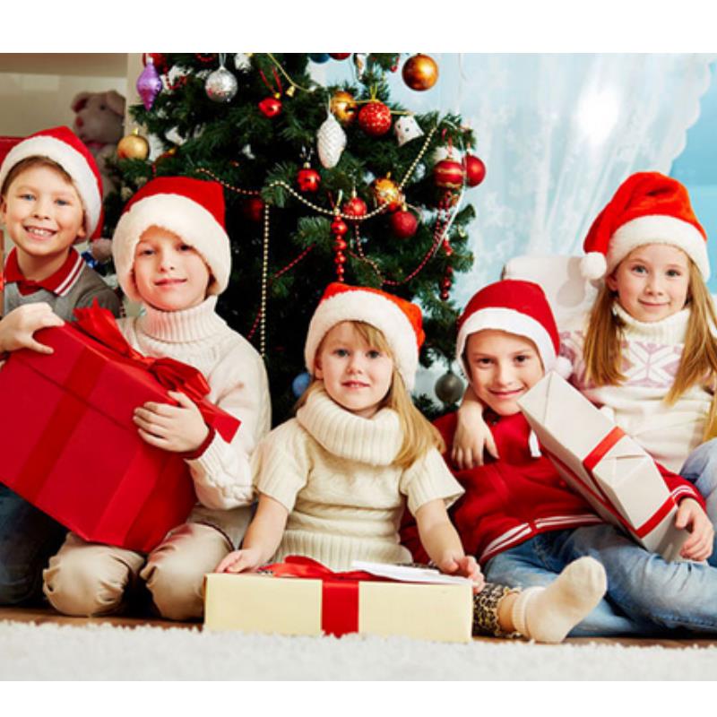 Chapeau de noël en peluche pou - Santa Hat Plush avis et prix